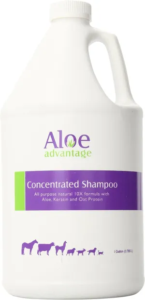 Aloe Concentrated Shampoo 1 Gallon