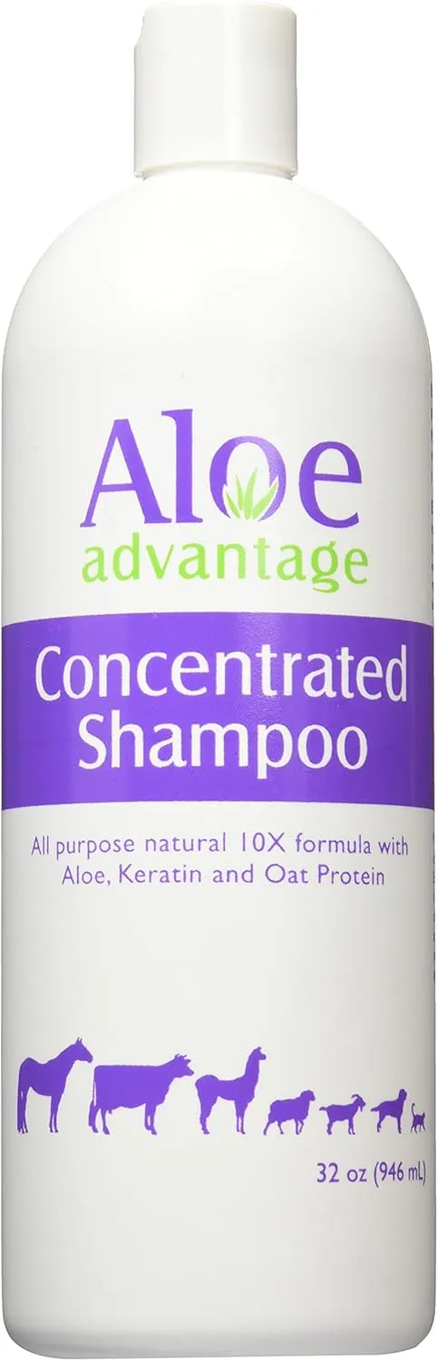 Aloe Concentrated Shampoo, 32-Ounce