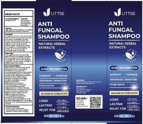 Anti-Fungal Shampoo for Scalp Psoriasis: Dandruff Shampoo for Folliculitis and Seborrheic Dermatitis - Relieves Itchy & Dry Scalp - 300 mL / 10.1 fl.oz