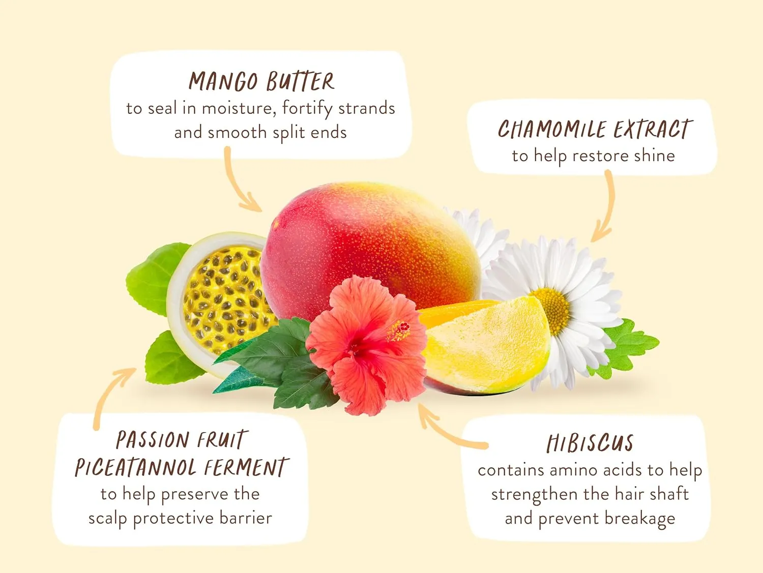 Babo Botanicals Nourishing Mango & Hibiscus Shampoo   Bundle with Conditioner- For Dry, Damaged, Color-Treated Hair – Moisturize & Soften - Passion Fruit Ferment for scalp
