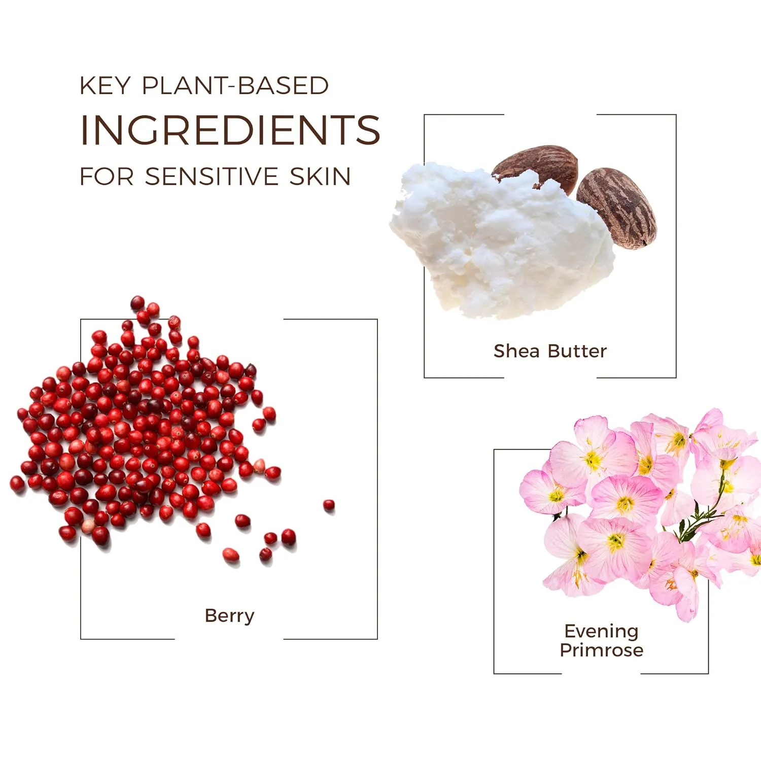 Babo Botanicals Smoothing Berry 2-in-1 Shampoo & Wash - Detangling & Nourishing - Eliminates Frizz & Prevents Static - Evening Primrose Oil - For all ages - Light Berry Fragrance- Vegan