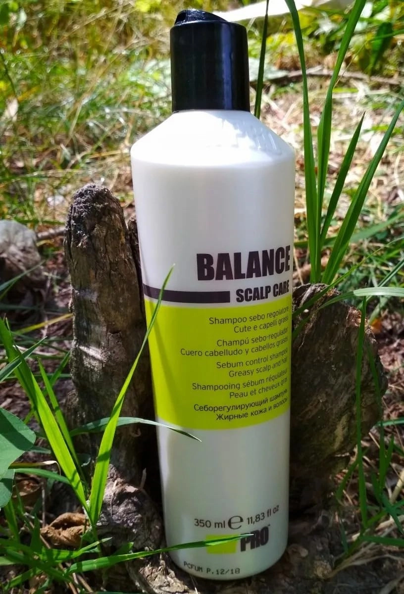 BALANCE SHAMPOO SCALP CARE 350ML (ANTI-OILY)., 11.83 Fl Oz (Pack of 1)