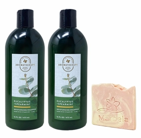 Bath & Body Works Aromatherapy Eucalyptus Spearmint 2 Piece Mousturizing Shampoo Set with a Himalayan Salts Springs Sample