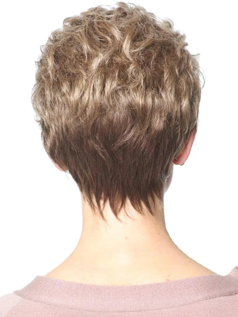 Bundle - 5 items: Acclaim Petite Wig by Gabor, Christy's Wigs Q & A Booklet, Wig Shampoo, Wig Cap & Wide Tooth Comb - Color: G6 