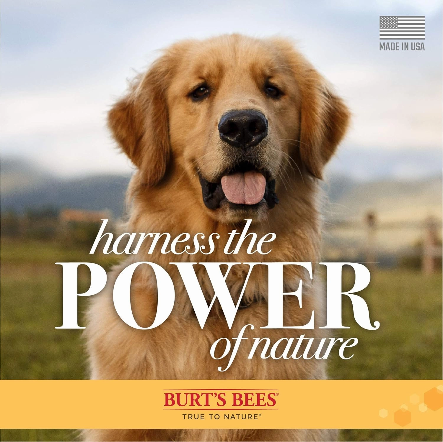 Burt's Bees for Pets Tearless Puppy Shampoo with Buttermilk, 95% Natural Origin Formulas, Shampoo for Puppies - Gentle Dog and Puppy Shampoo Tear Free, Best Puppy Shampoo Tearless, 32 oz