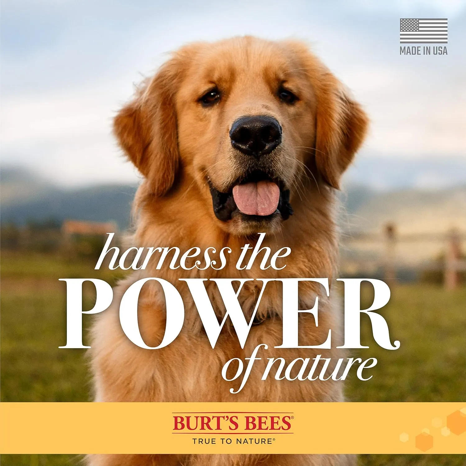 Burt's Bees for Pets Care Plus  Naturally Derived Deep Cleansing Charcoal & Coconut Oil Shampoo - Dog Shampoo to Naturally Derivedly Purify and Replenish Dog's Skin & Coat - Made in USA, 16 Oz