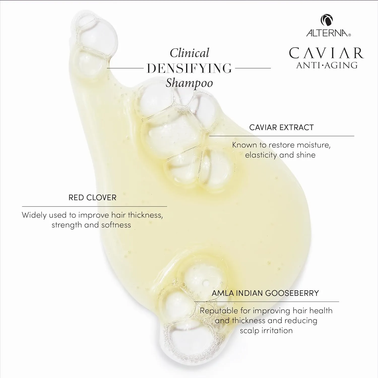 CAVIAR Anti-Aging Clinical Densifying Shampoo | For Fine, Thinning Hair | Thickens Hair, Protects Scalp | Sulfate Free