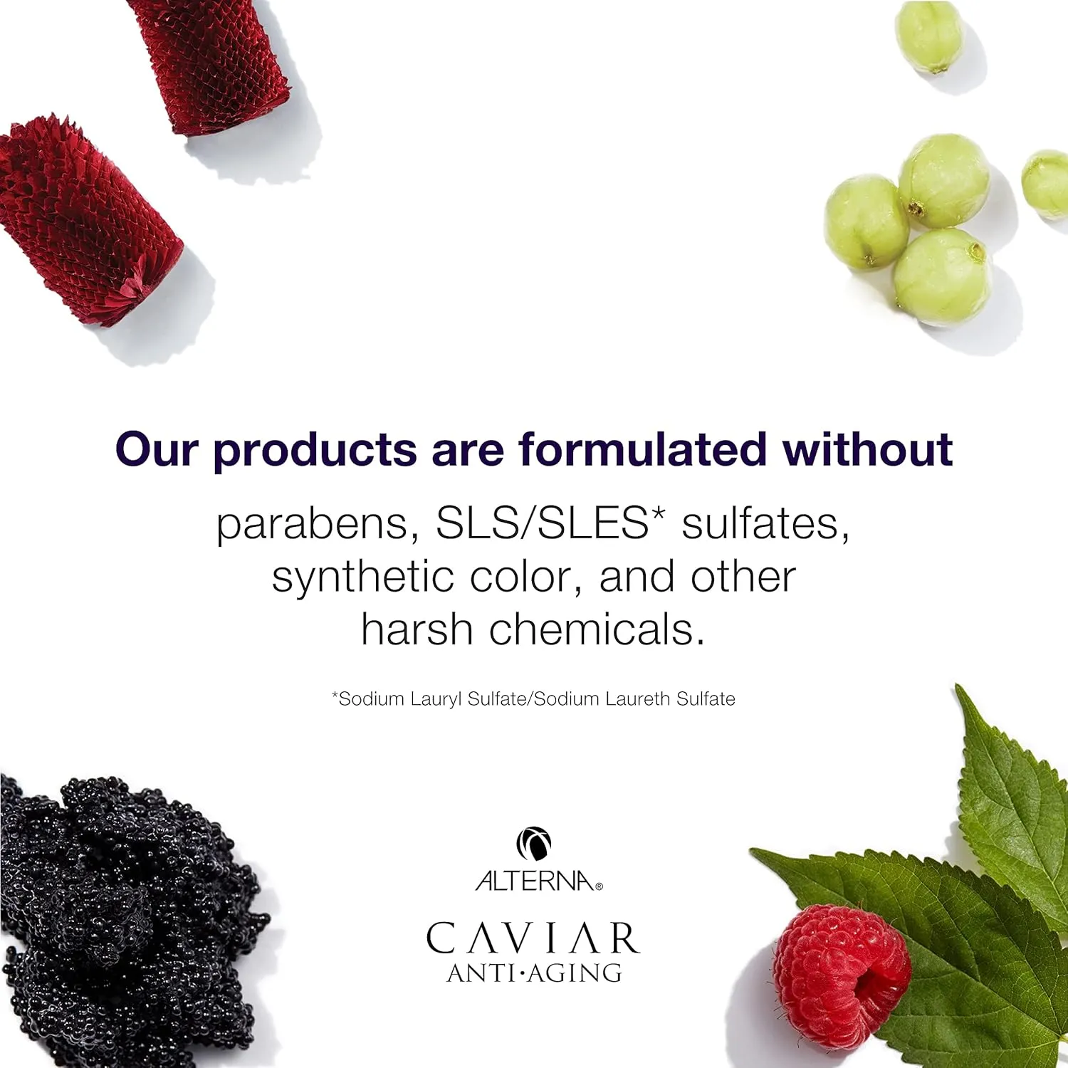 CAVIAR Anti-Aging Restructuring Bond Repair Shampoo | For Brittle, Damaged and Split Ends | Repairs, Strengthens & Protects Damaged Hair | Sulfate Free