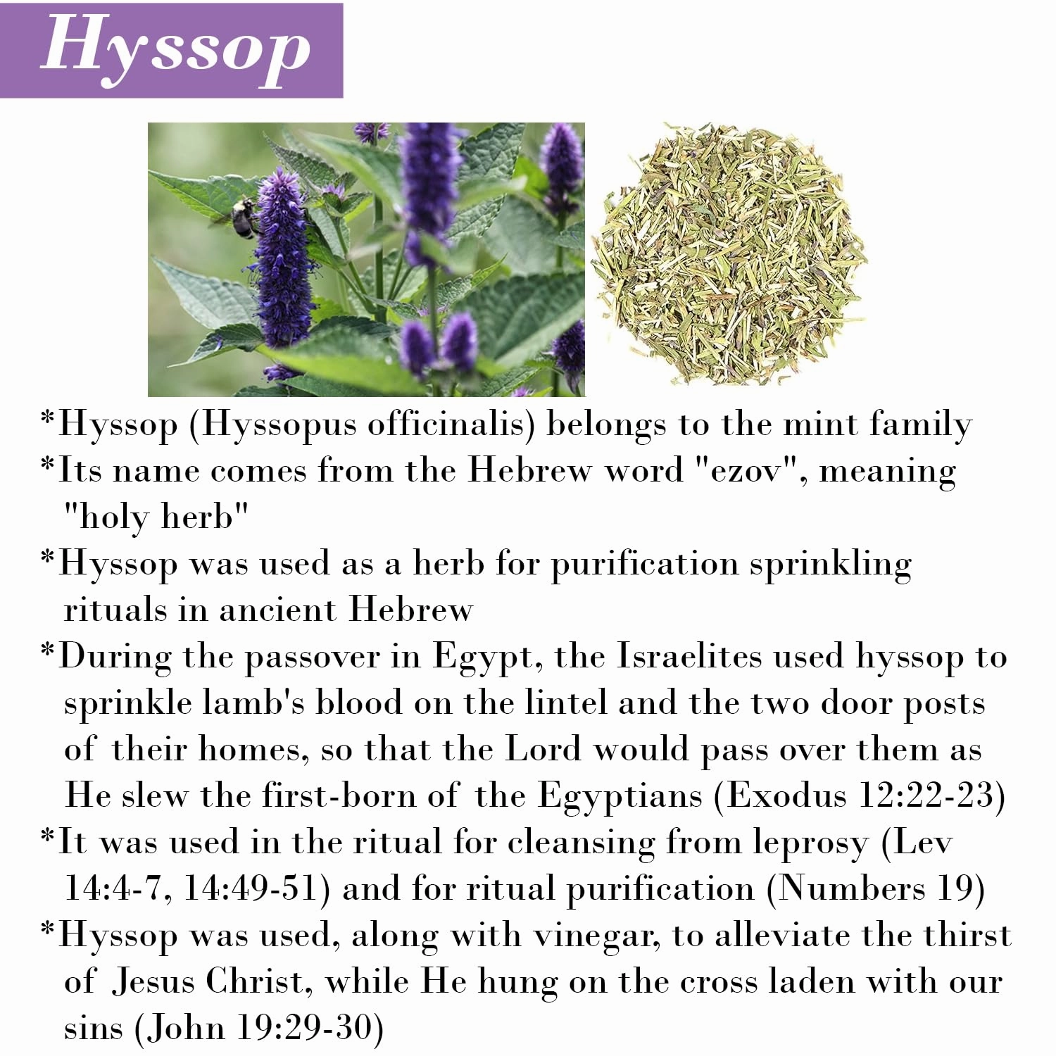 Cleanse Me With Hyssop Natural Hair and Body Wash, Organic Hyssop Infused Shampoo and Body Wash for Nourishing and Refreshing Hair and Body Cleansing (Lavender and Chamomile)