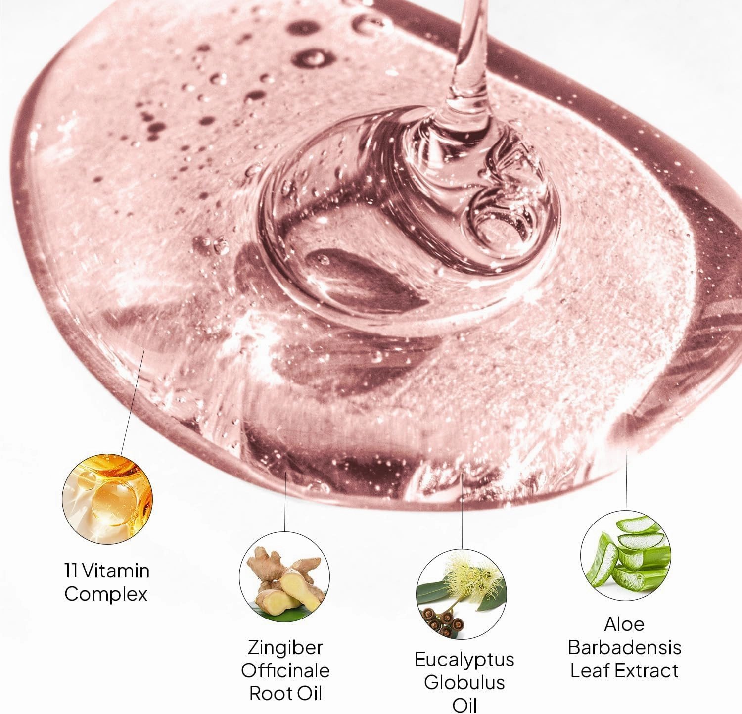 COBA'S DAUGHTER Grapefruit Peel & Eucalyptus Globulus 3-in-1 Soap | Body Wash, Bubble Bath, Shampoo | Cleanse, Nourish & Soften Skin with Inulin & Seaweed Extract | (16.9oz)