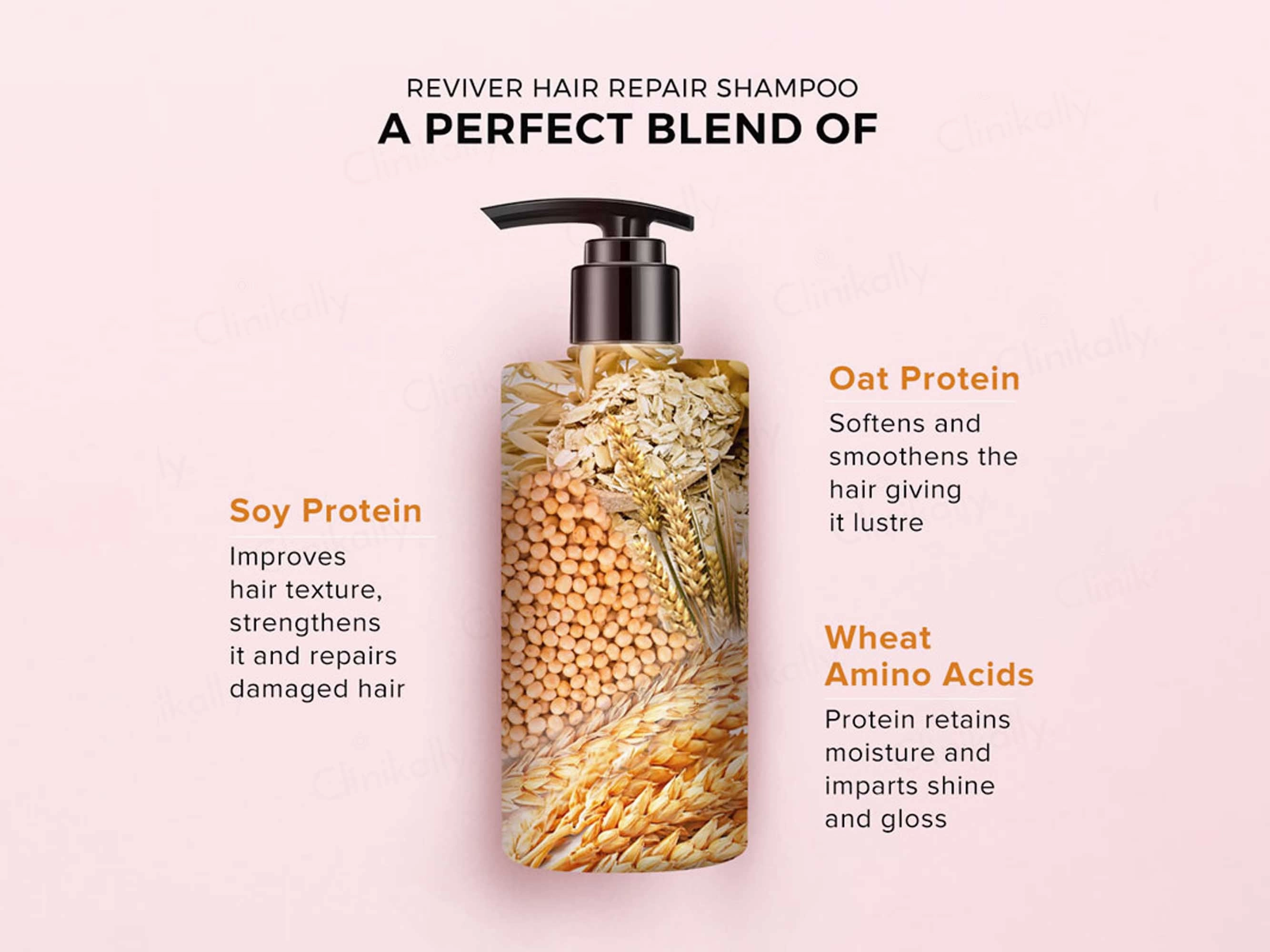 De Fabulous Reviver Hair Repair Shampoo