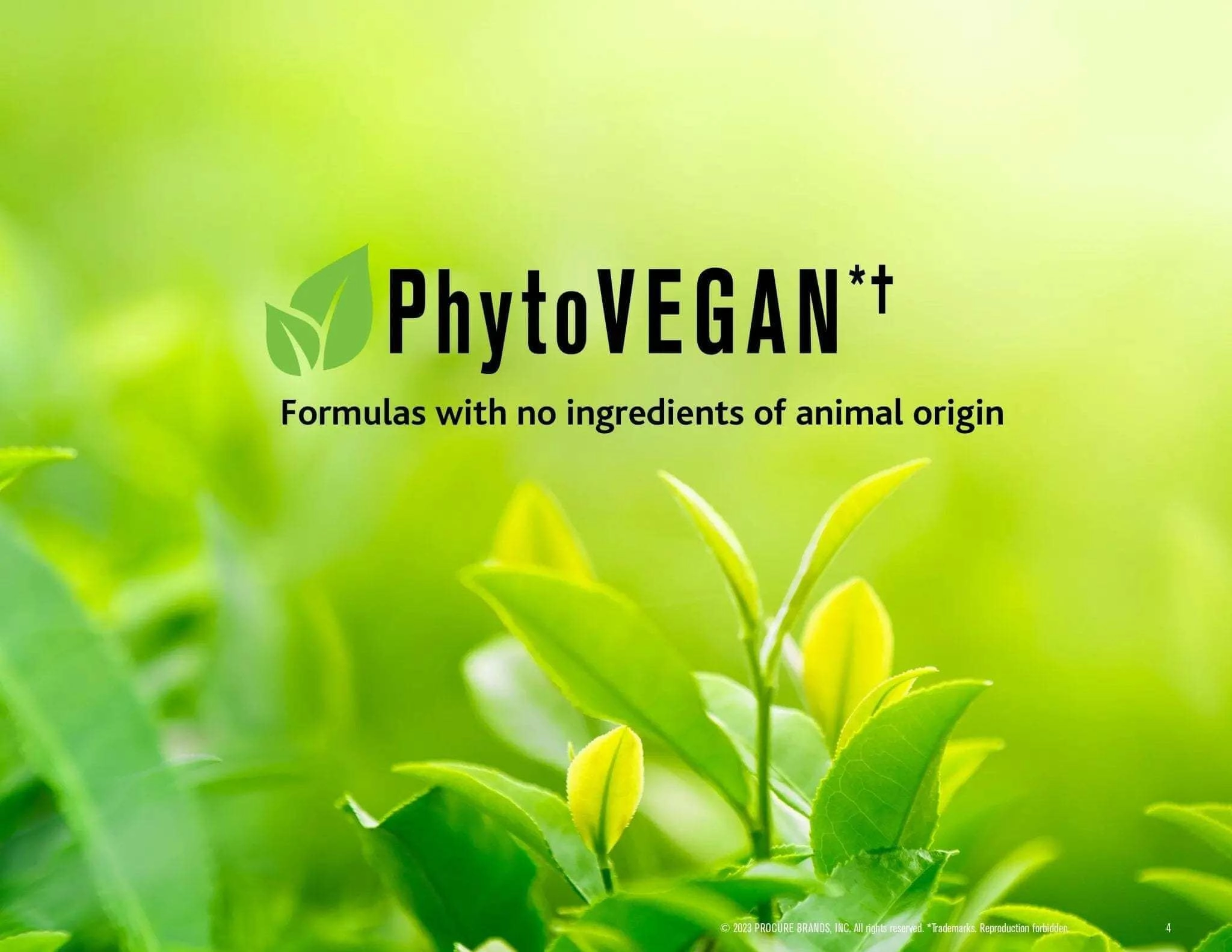 DETOXCURE Prowash Vegan Hair Shampoo & Pump