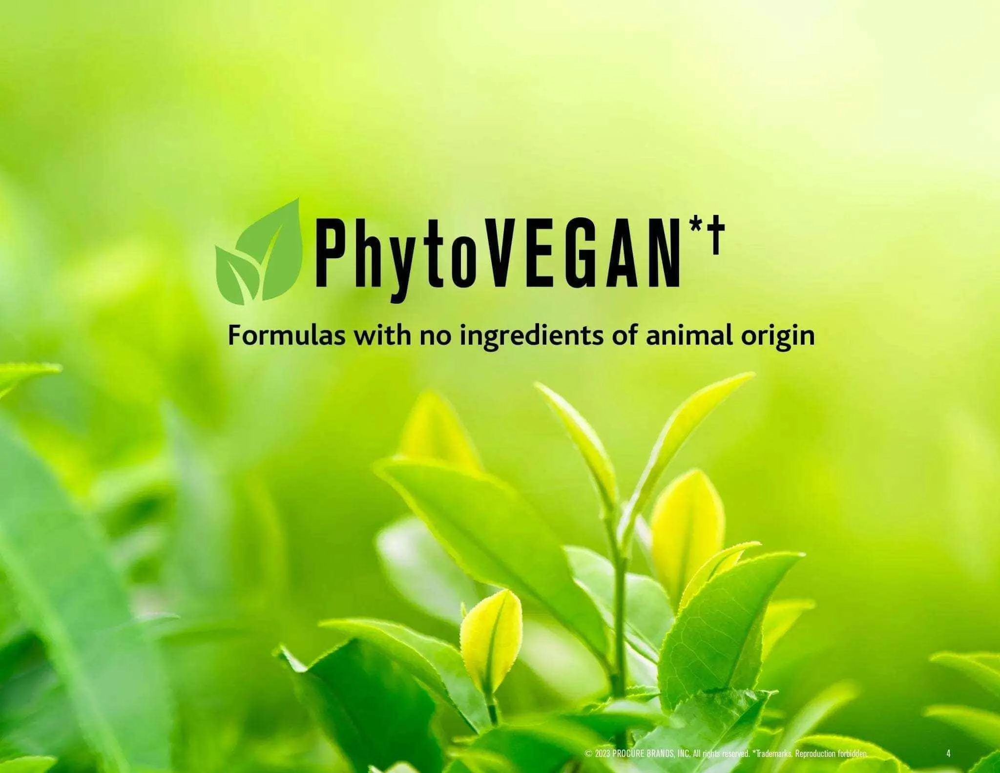 DETOXCURE Prowash Vegan Hair Shampoo