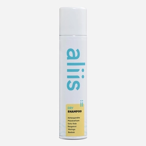 Dry Shampoo – Talc-Free Powder for Oil Absorption, Root Refresh & Volume | Color-Safe, Plant-Based, Sulfate-Free | Ideal for All Hair Types | 6 oz