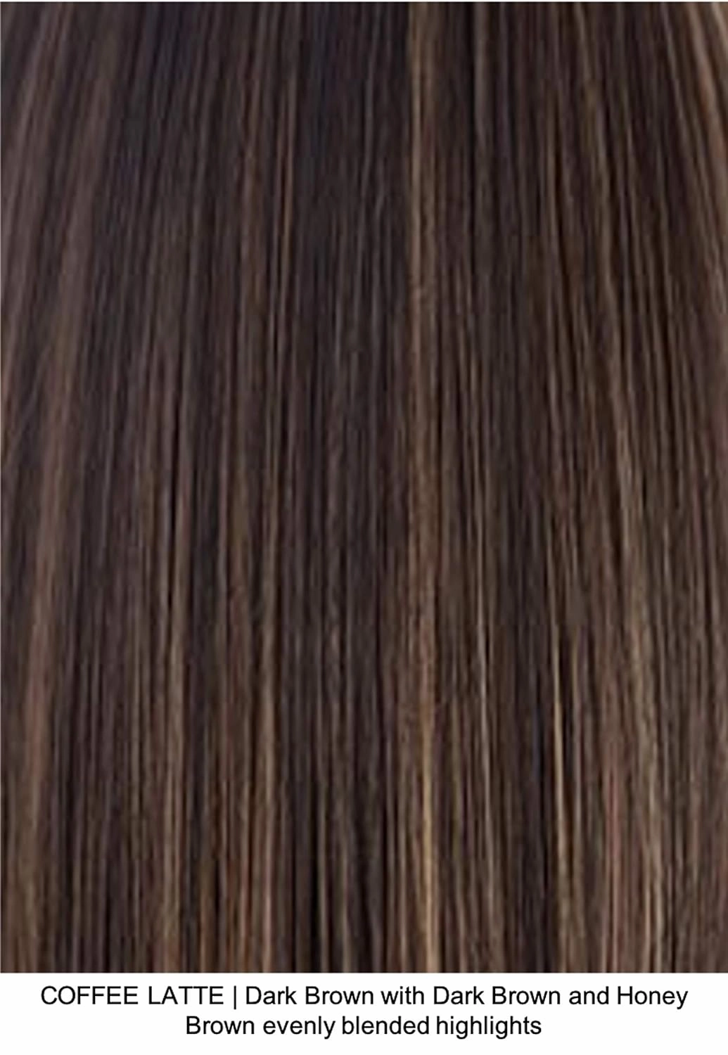 ERIKA Double Mono Synthetic Wig by Amore, 5PC Bundle: Wig, 4oz Mara Ray Enriched Shampoo, Conditioner, Wide Tooth Comb, and 19 Page Belle of Hope Guide (Coffee Latte)