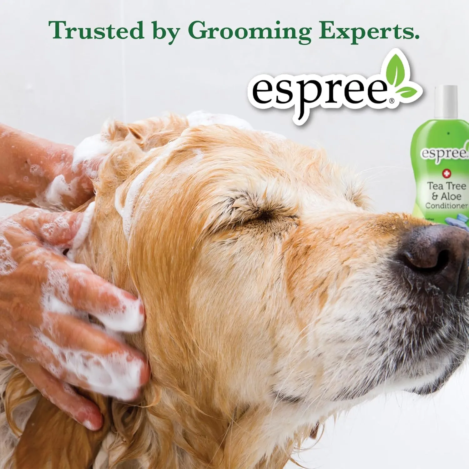 Espree Simple Shed Shampoo, Bathing System, 1 Gallon