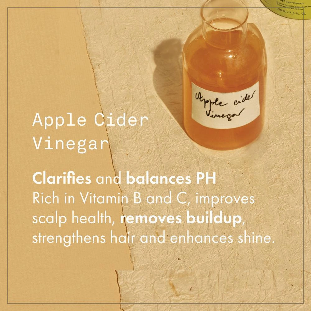 Fekkai Apple Cider Detox Shampoo