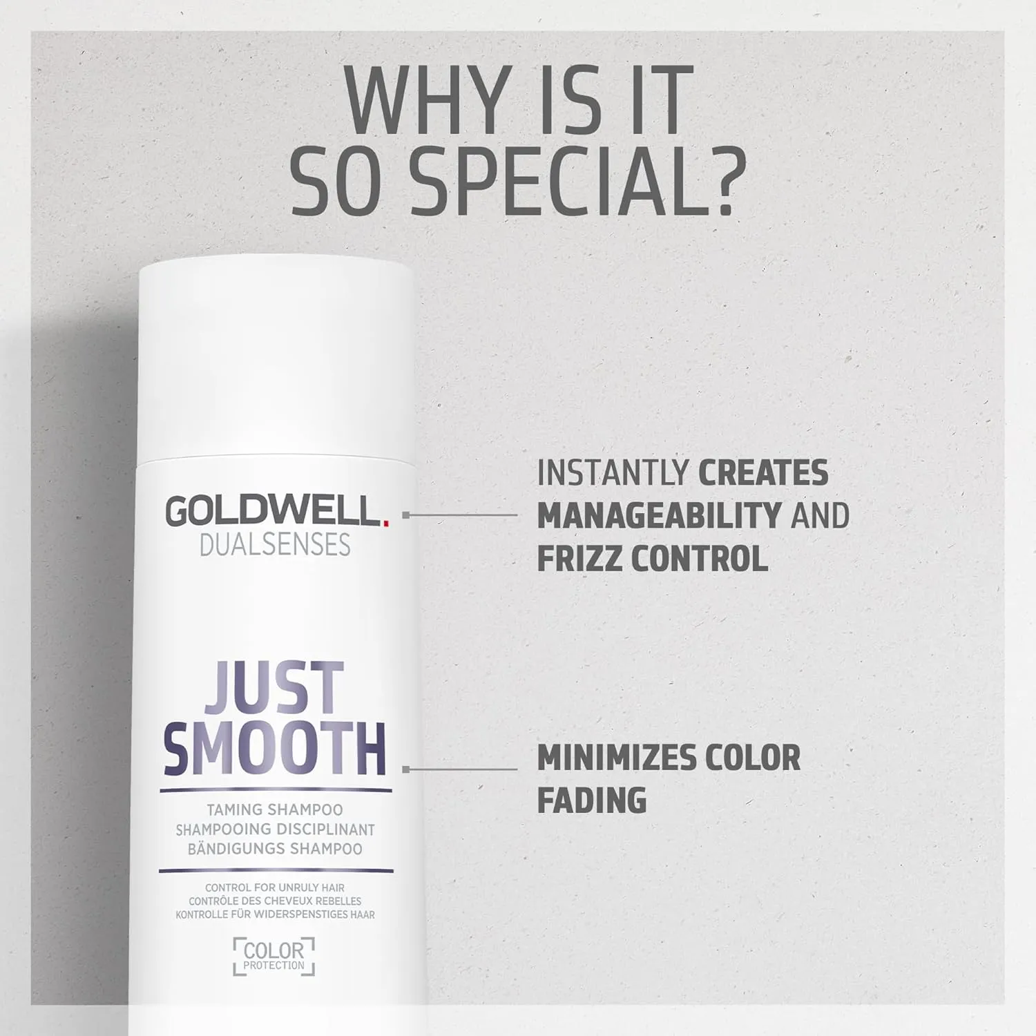 Goldwell Dualsenses Just Smooth Taming Anti-Frizz & Humidity Control Shampoo