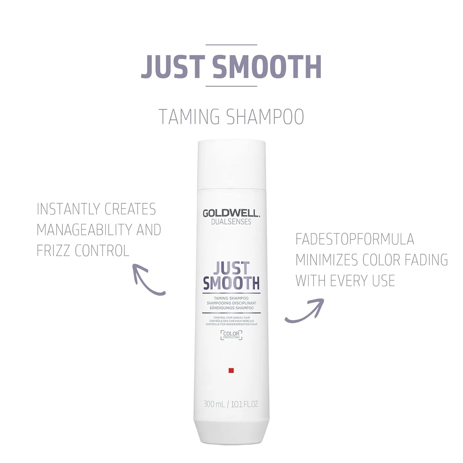 Goldwell Dualsenses Just Smooth Taming Anti-Frizz & Humidity Control Shampoo