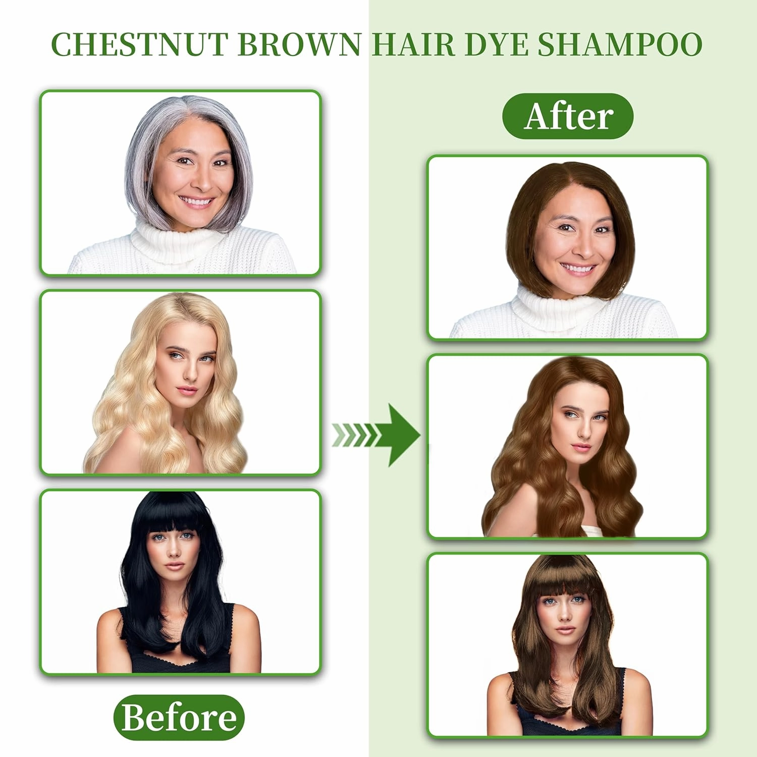 Hair Dye Shampoo 3 in 1 for Gray Hair Coverage, Herbal Ingredients Natural Shampoo Hair Dye for Women & Men/Ammonia-Free 520ml(Chestnut Brown