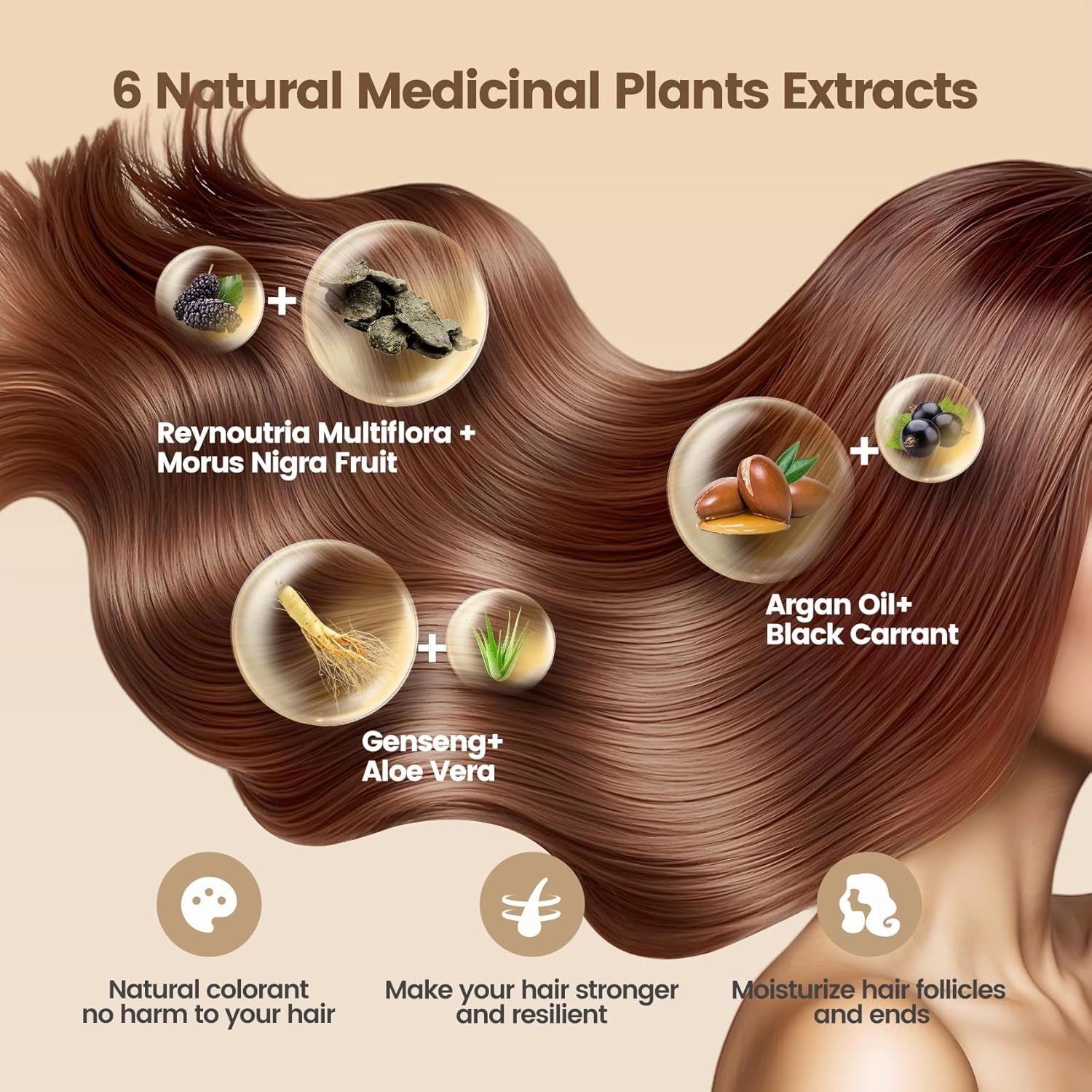 Hair Dye Shampoo,Chestnut Brown 6-in-1 Natural Herbal Hair Color Shampoo,Semi-Permanent Gray Coverage with Pleasant Scent,Ammonia-Free Formula for Women & Men (460ml/15.55fl oz)