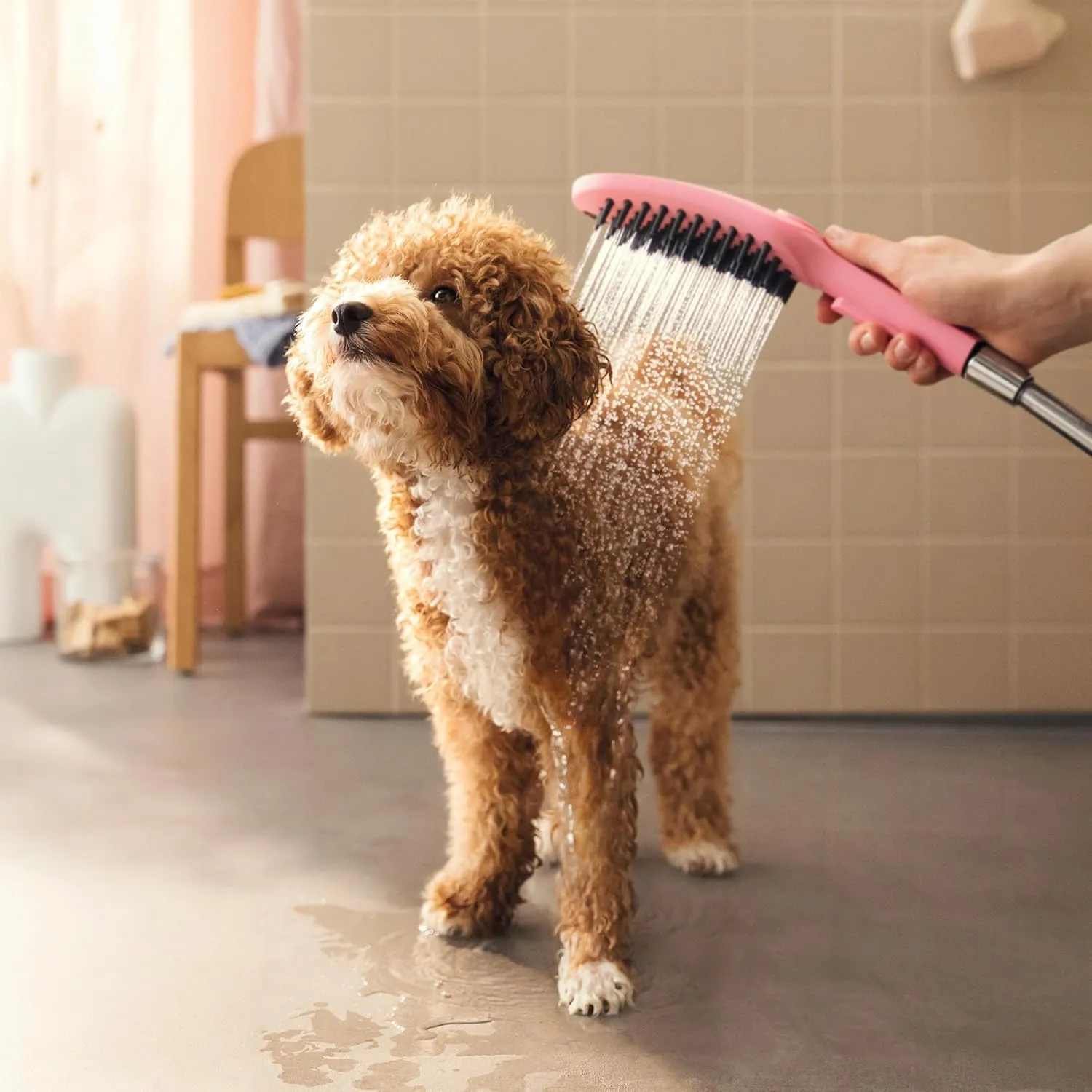 hansgrohe DogShower 150 3-Jet Handshower in Pink, 1.75 GPM 04973560