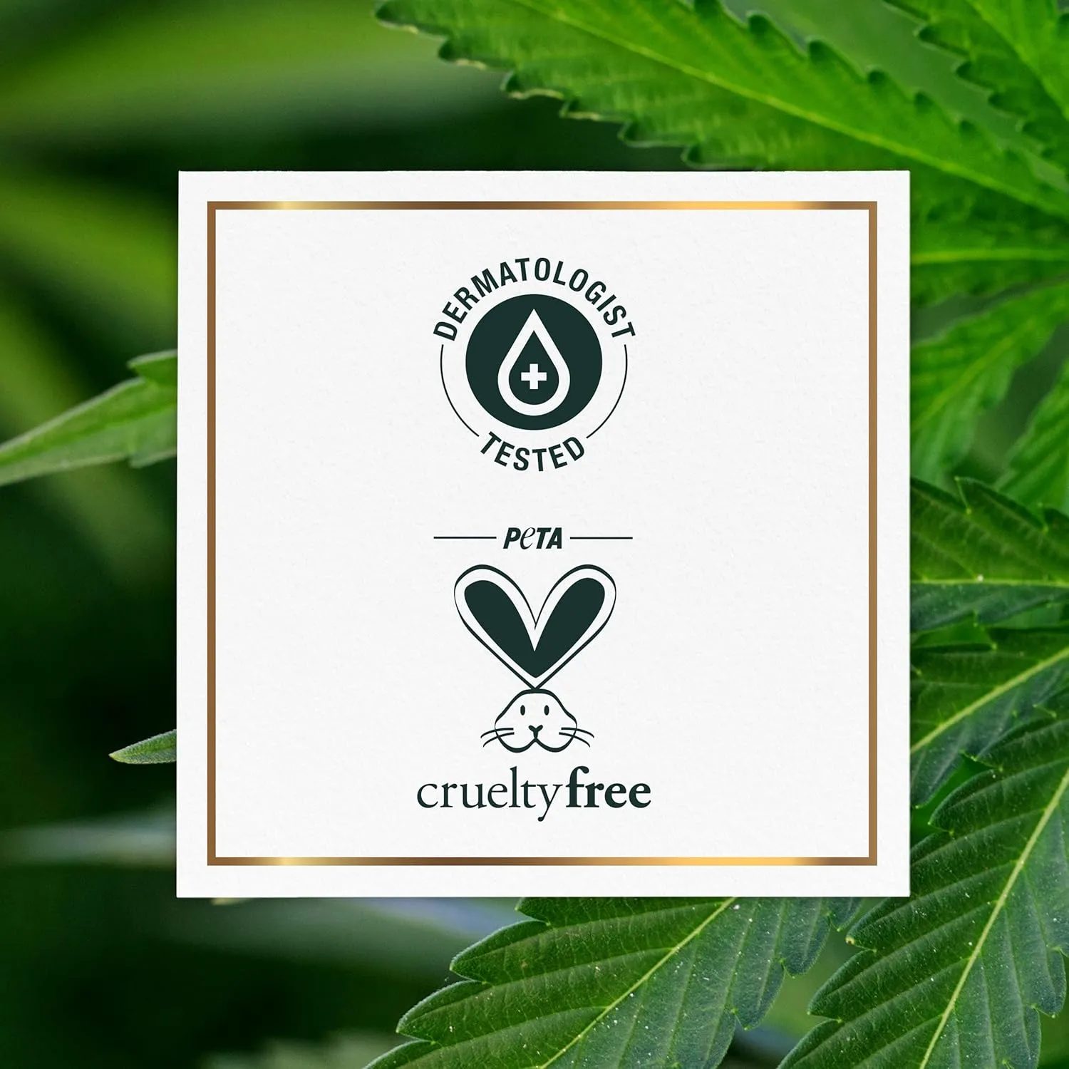 Herbal Essences bio:renew Potent Aloe   Hemp Shampoo and Conditioner Bundle