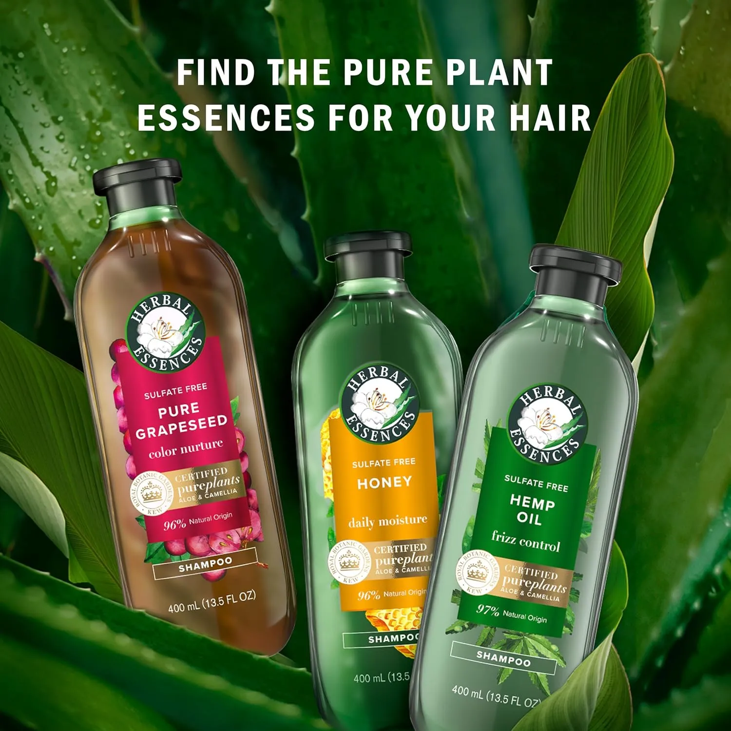 Herbal Essences Sulfate Free Shampoo with Honey for Daily Moisture, Nourishes Dry Hair, Moisturizing Shampoo with Certified Camellia Oil and Aloe Vera, Lightweight For All Hair Types, 33.8oz