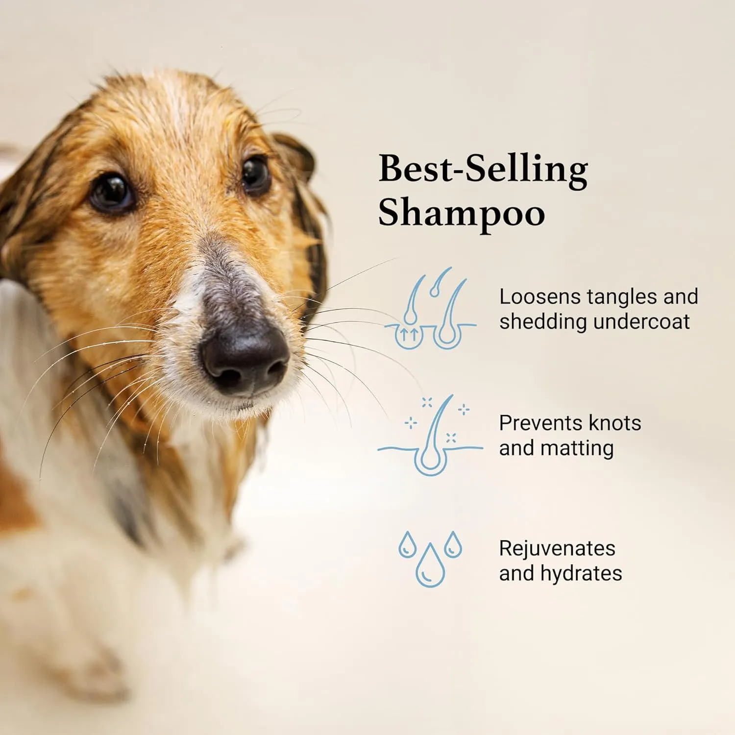 iGroom Deshedding & Detangling Dog Shampoo, Luxury Pet Beauty Care, Loosen Tangles   Unwanted Undercoat, Adds Shine   Volume, Made in USA (1 GAL)