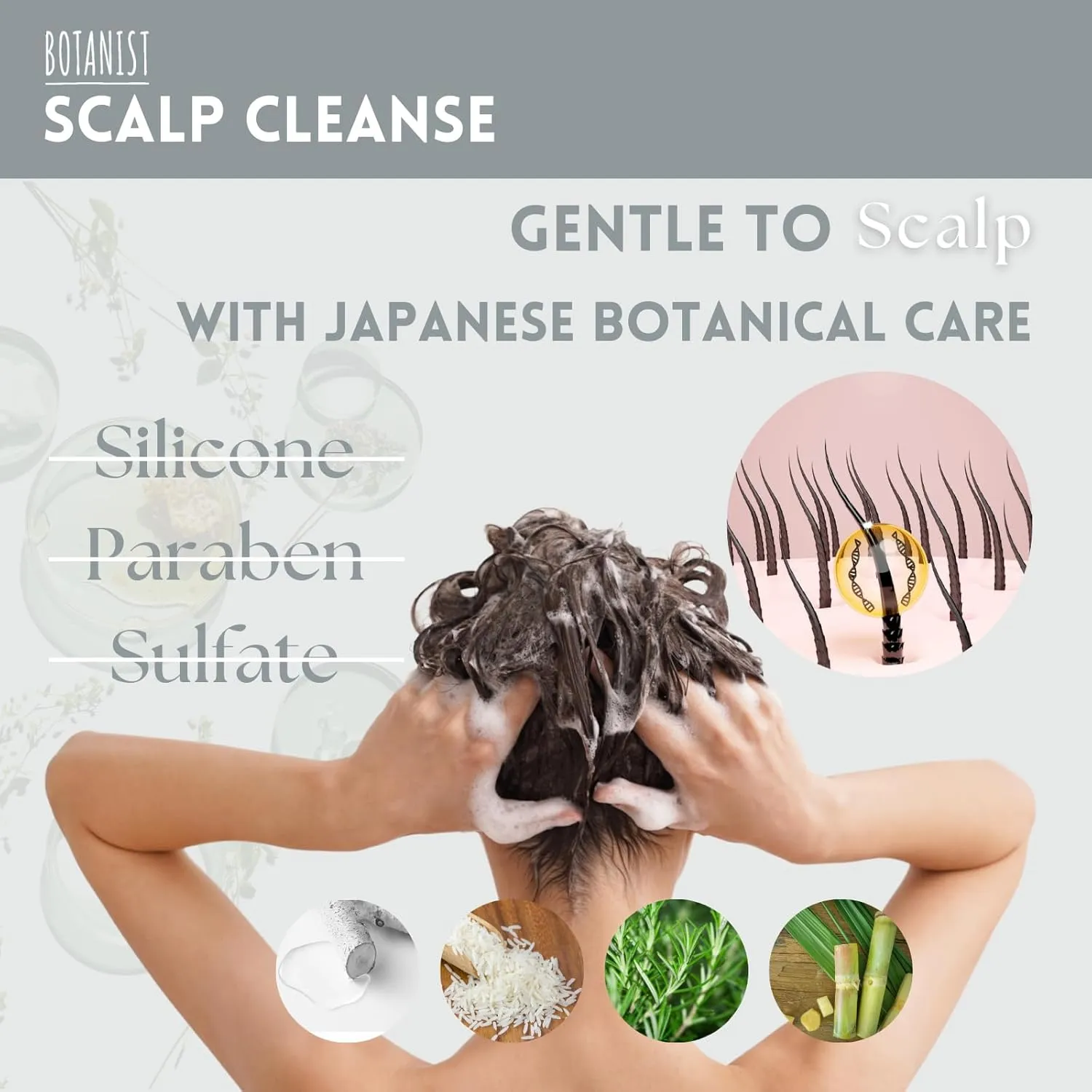 Keratin Shampoo for Women & Men Dry Hair & Oily Scalp, Organic Shampoo with Protein, Collagen& Honey Extract from Japan, Paraben& Silicone Free, SCALP CLEANSE Lime & Green Leaf 15.5 Fl Oz 2EA