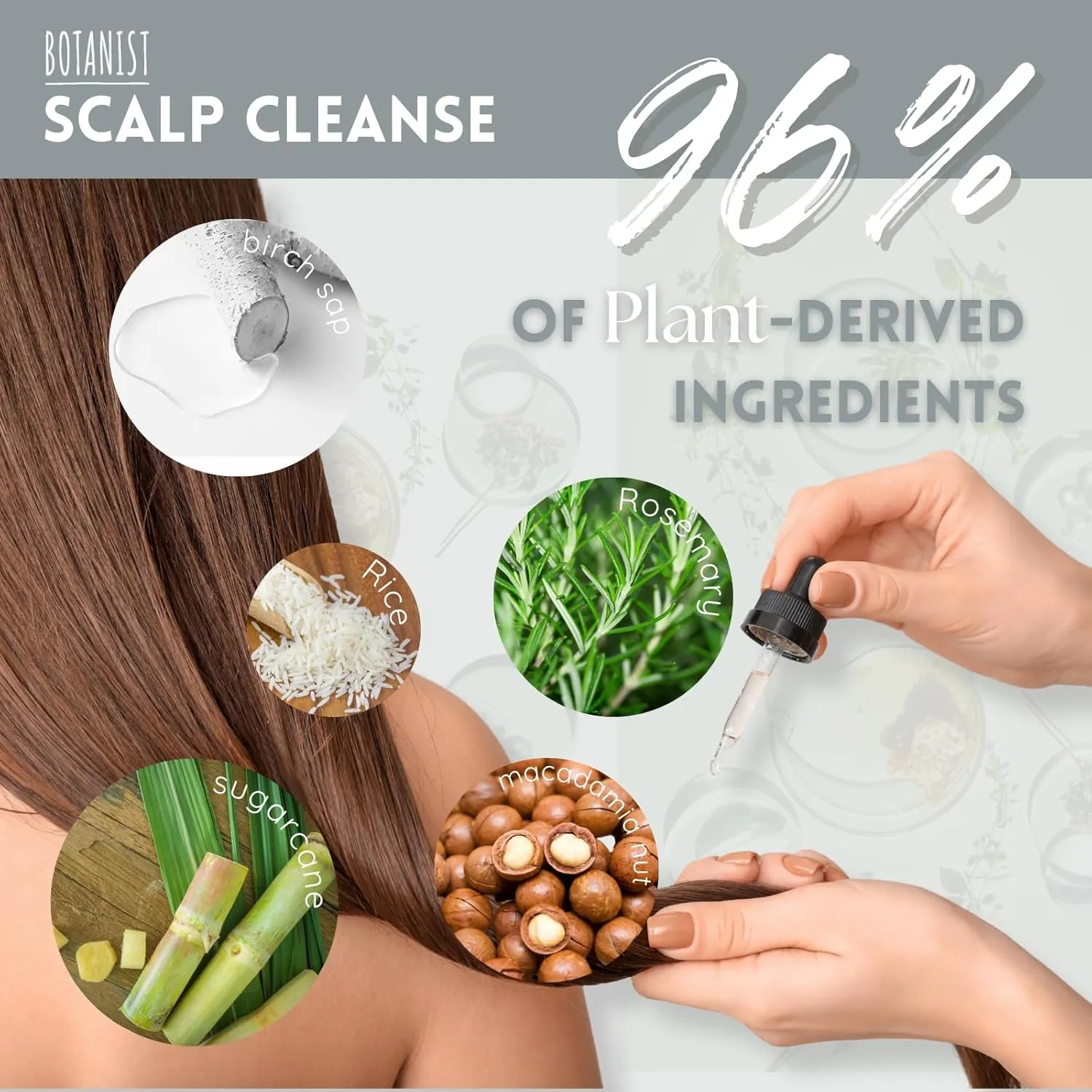 Keratin Shampoo for Women & Men Dry Hair & Oily Scalp, Organic Shampoo with Protein, Collagen& Honey Extract from Japan, Paraben& Silicone Free, SCALP CLEANSE Lime & Green Leaf 15.5 Fl Oz 2EA