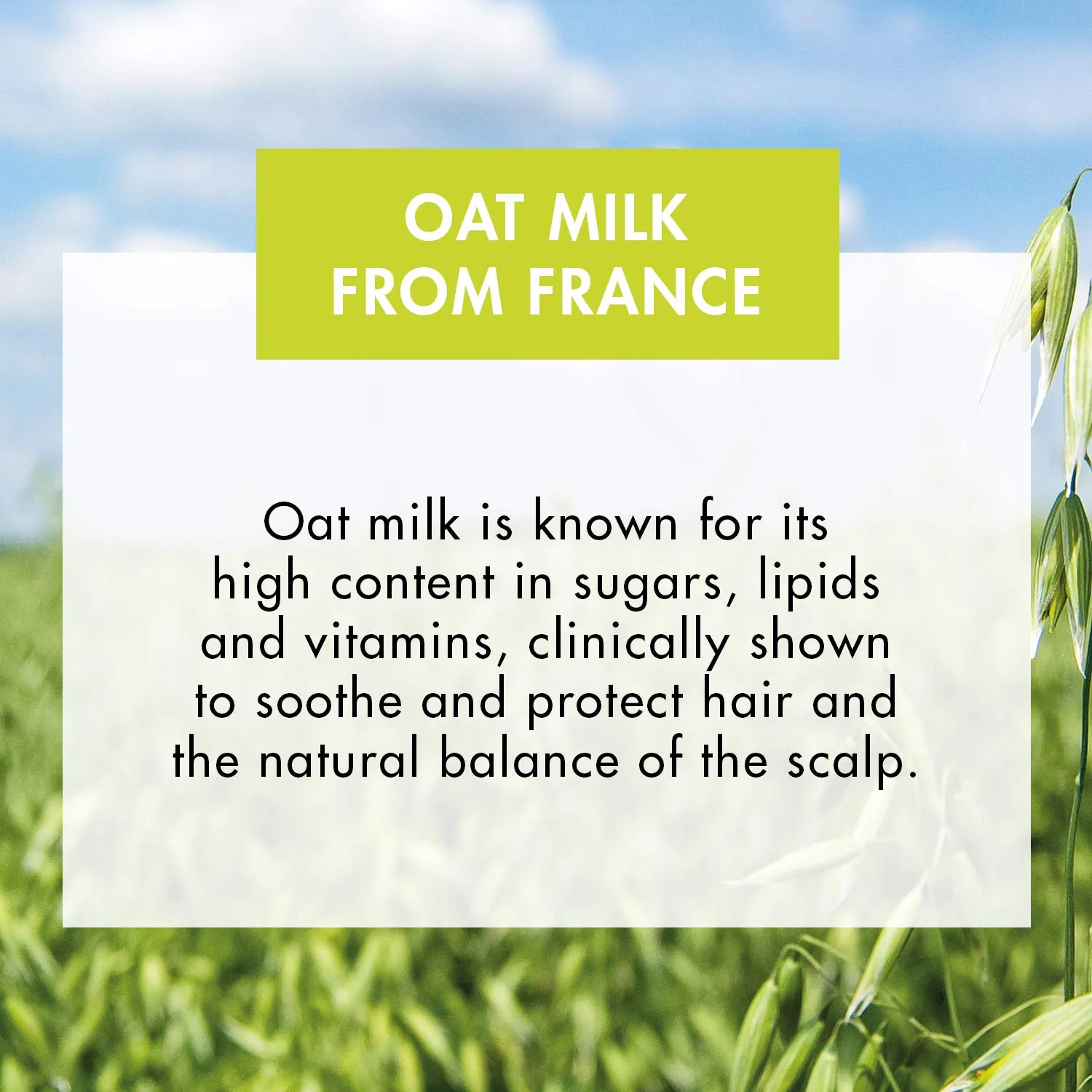 Klorane Ultra-Gentle Shampoo with Oat Milk - Sulfate-Free - Dermatologist and Pediatric Tested - Hypoallergenic, Vegan, Plant-Based Fomula - High Tolerance Formula for Whole Family
