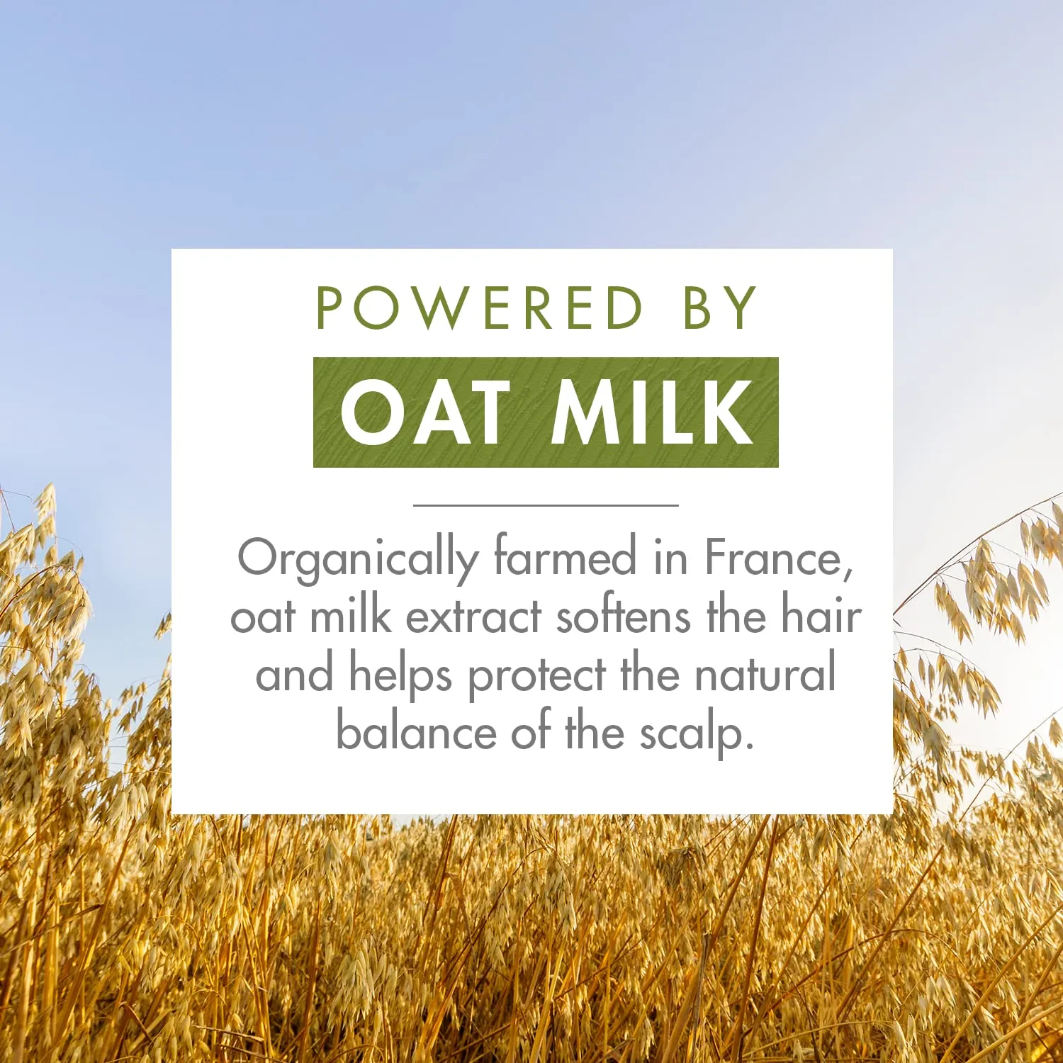 Klorane Ultra-Gentle Shampoo with Oat Milk - Sulfate-Free - Dermatologist and Pediatric Tested - Hypoallergenic, Vegan, Plant-Based Fomula - High Tolerance Formula for Whole Family