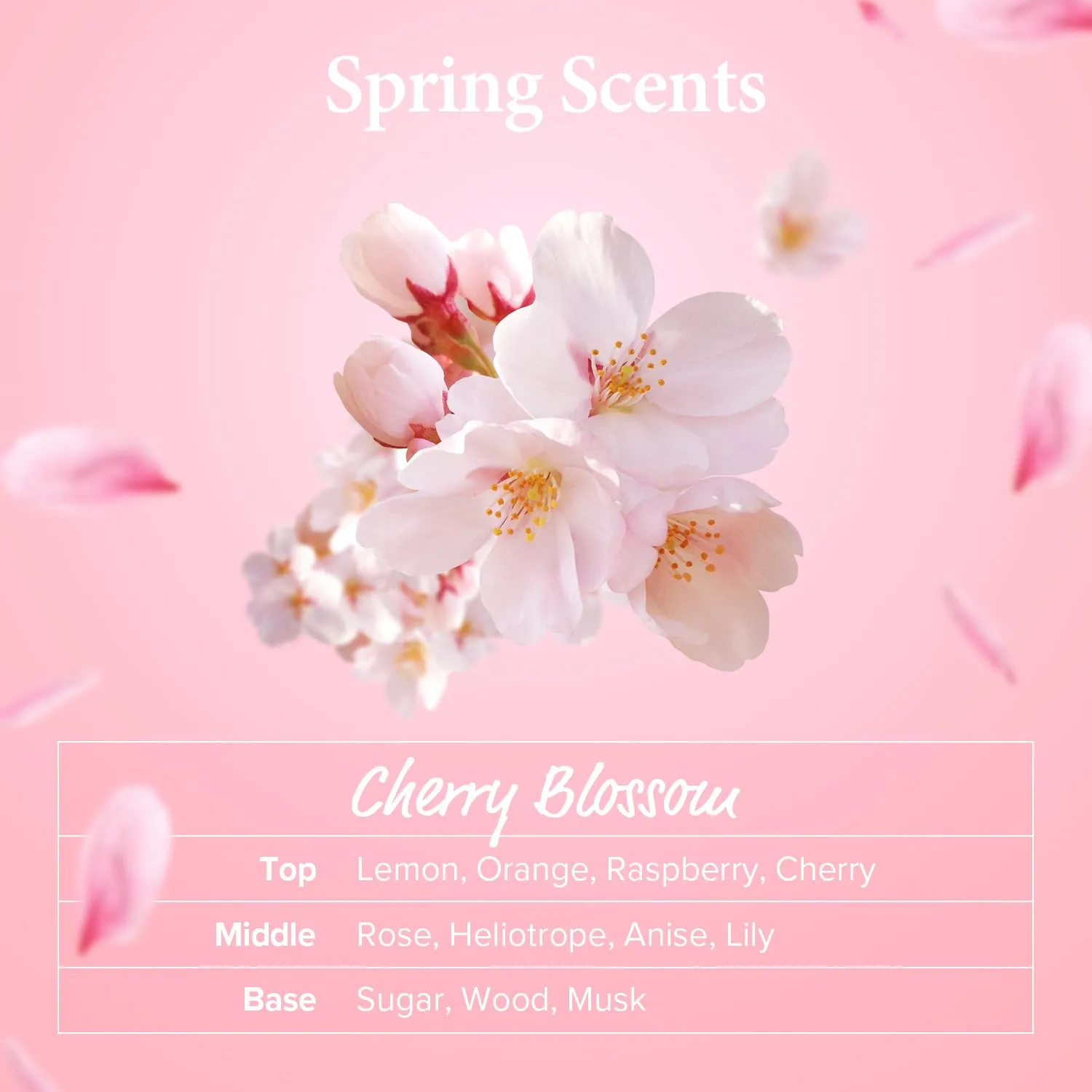 KUNDAL Official Caffeine Scalp Shampoo, 16.9 fl oz (500 ml), Cherry Blossom