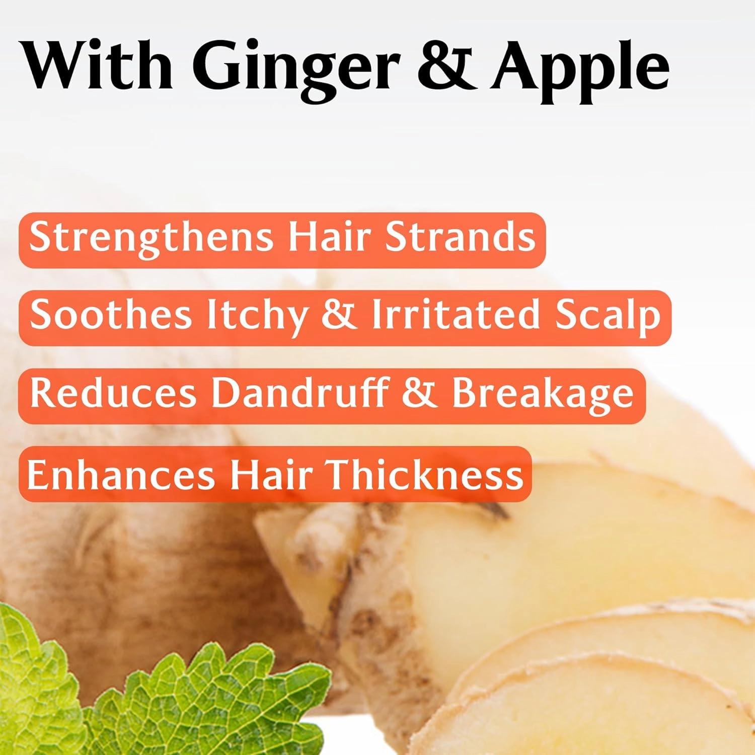 LA'DOR Root Re-boot Refreshing Hair Loss Relief Shampoo Purifying w/Ginger Root & Apple Extract - Deep Cleansing, Cooling Sensation for Sensitive Scalp Korean Haircare 10oz