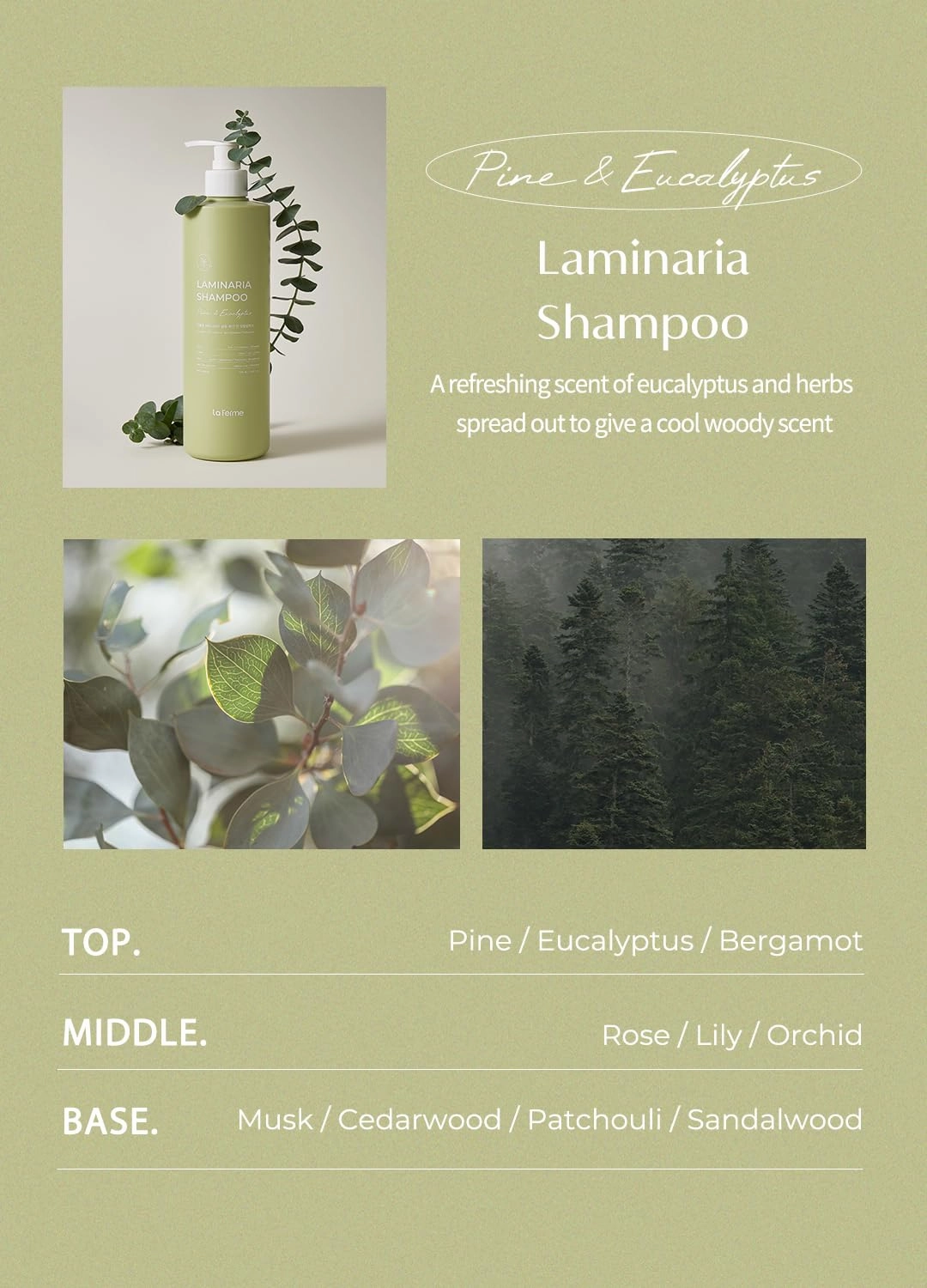 Laminaria Shampoo with Organic Ingredient, Korean Clarifying Shampoo, Hydrating for Dry Hair, Strengthening for Weak Hair, Sulfate & Paraben-Free, for Women & Men,16.9 FL. OZ, Pine Eucalyptus