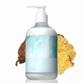 Lanshu Shampoo, Lanshu Polygonum Plant Extract Anti-Hair Loss Hair Shampoo, Soft and Smooth Nourishes the Scalp Oil Control Refreshing and Fluffy Strong Hair Care