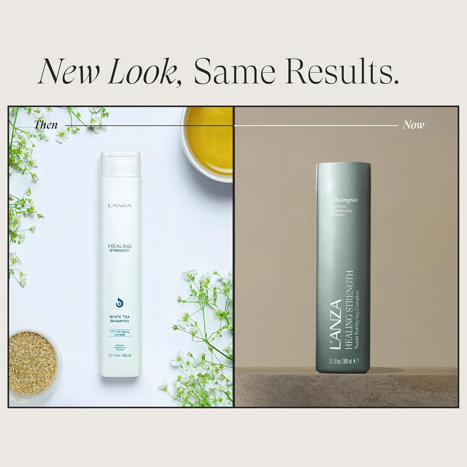 L'ANZA Healing Strength White Tea Shampoo, Hair Shampoo that Strengthens, Protects and Restores Weak, Fragile, and Aged Hair Against Split Ends & Frizz Control