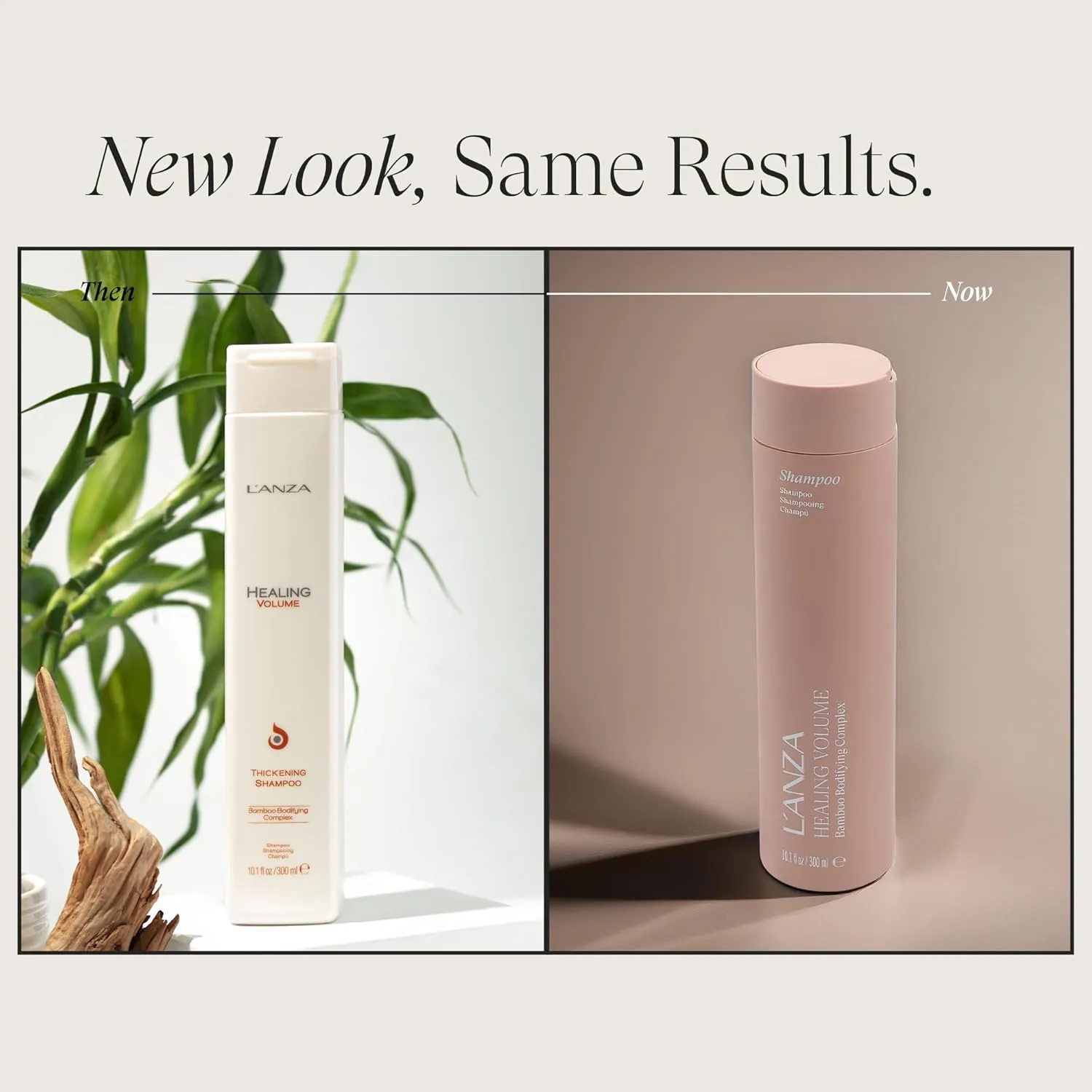 L'ANZA Healing Volume Thickening Shampoo, Boosts Shine, Volume, and Thickness of Fine Flat Hair, Hair Thickening Shampoo Rich with Bamboo and Keratin, Luxury Hair Care