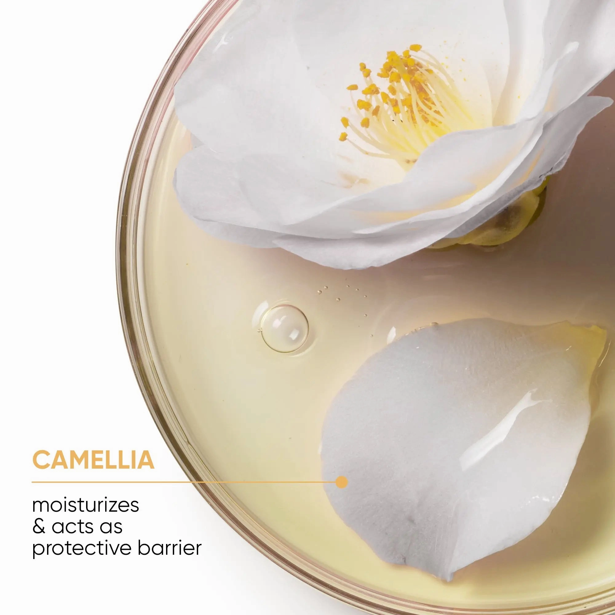 Matrix Smoothproof Shampoo With Camellia Seed Oil 400ML