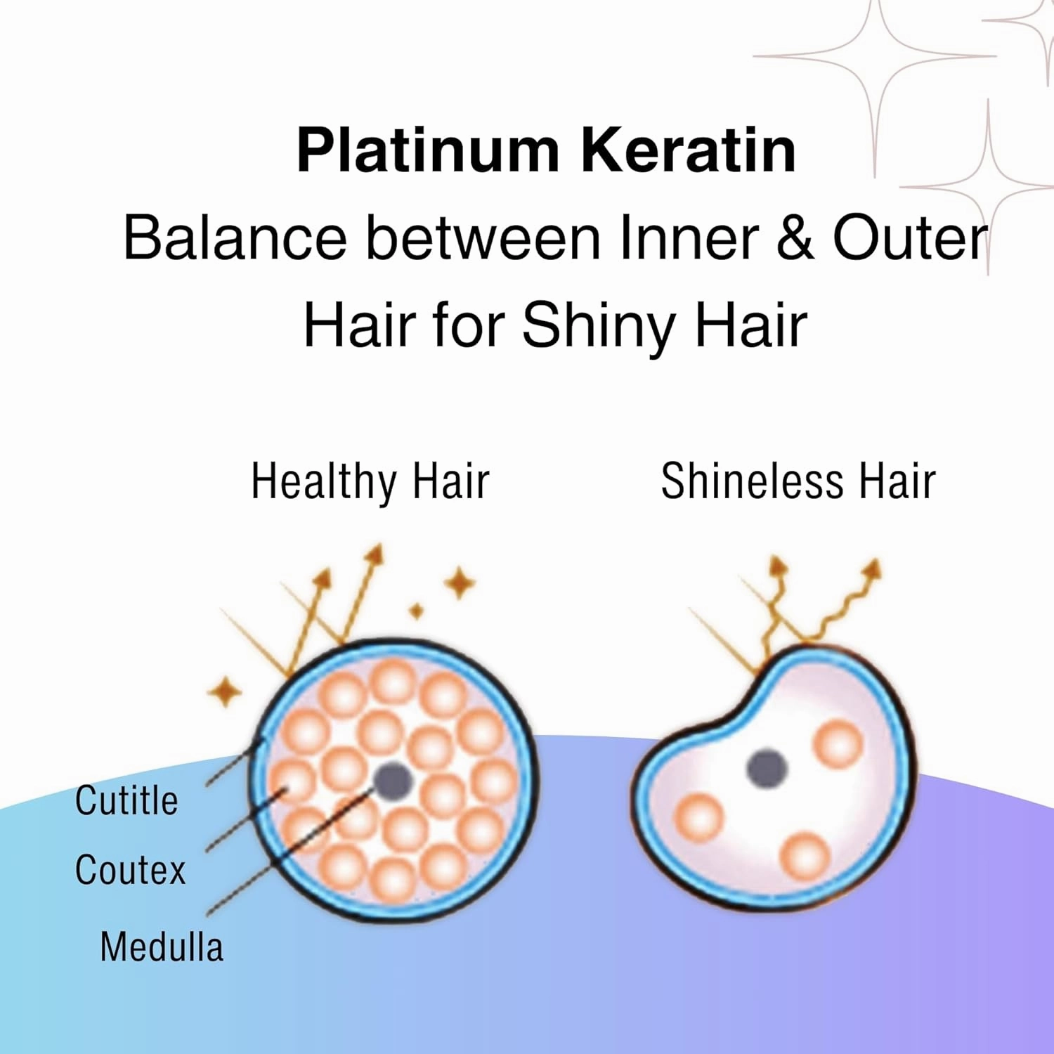 MOIST DIANE Keratin Shampoo for Colored Treated Hair, Damaged Hair Repair Shampoo for Women & Men by Protein, Vitamoin E, Ceramids& Argan Oil from Japan, Sulfate & Silicon Free 15.2 Fl Oz NIGHT REPAIR