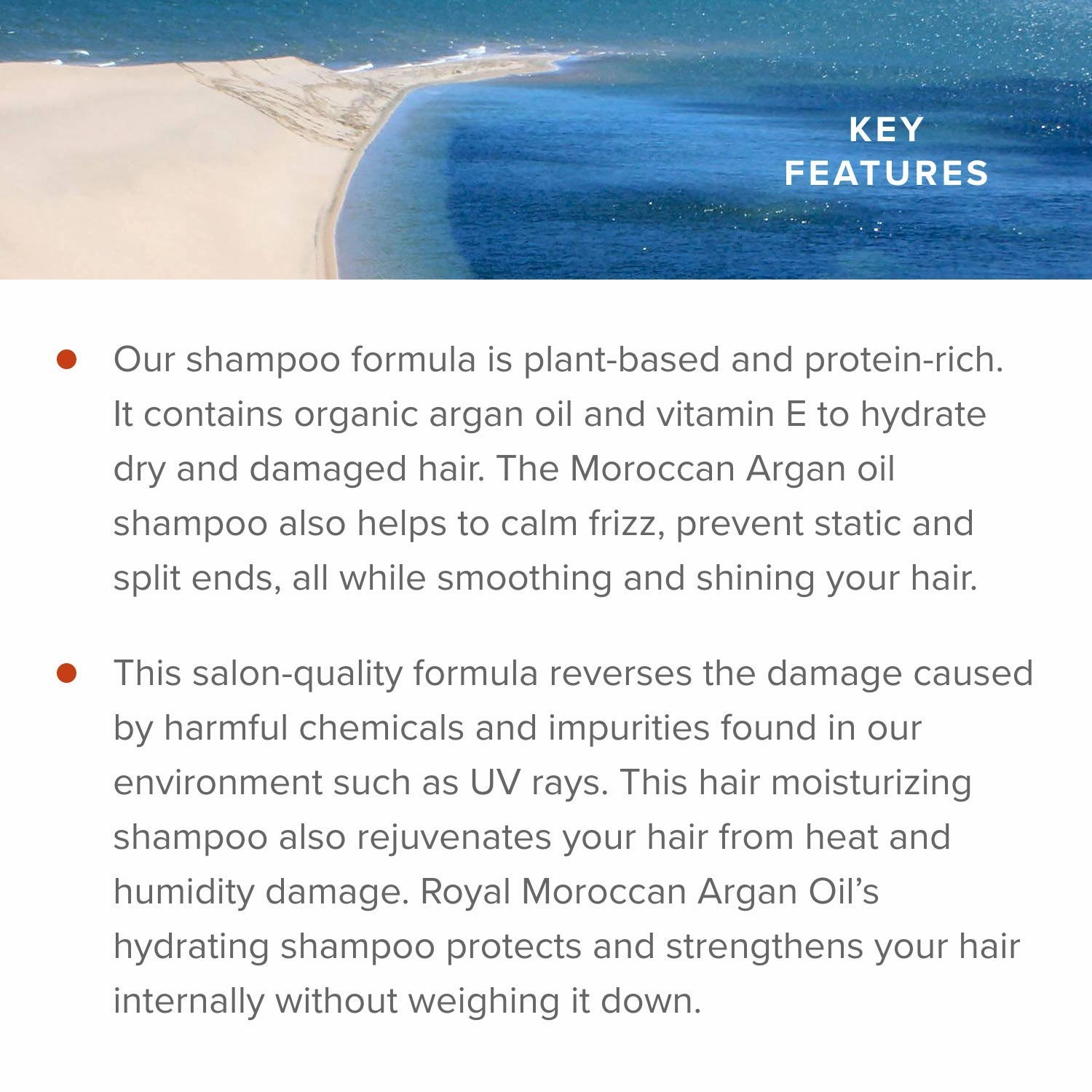 Moisturizing Shampoo | Dry Hair Shampoo for Color Treated & Frizzy Hair Argan Oil Hair Products | (300 ml 10.14 oz)