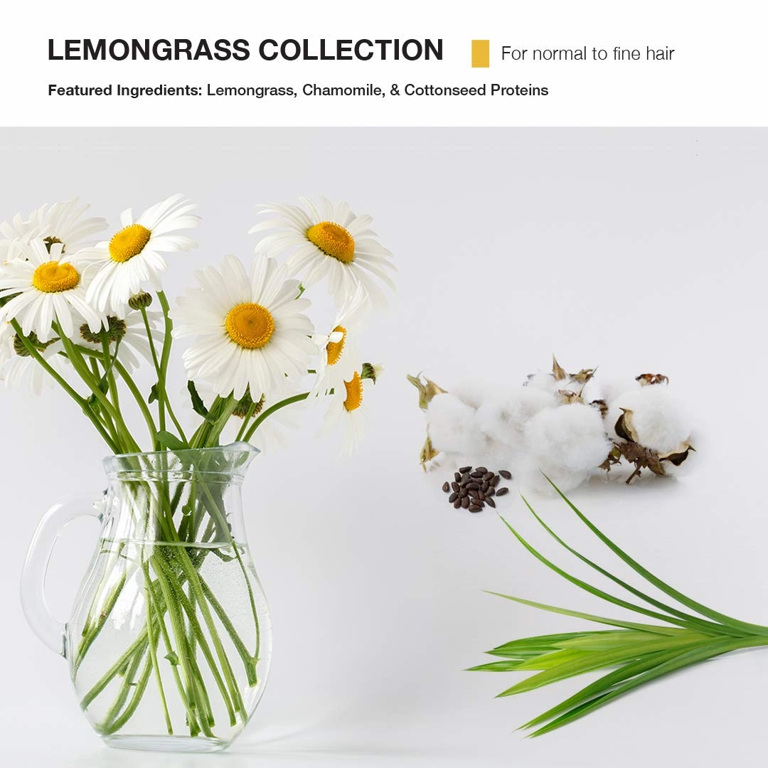 MOP Lemongrass Volume Shampoo For Fine Hair - Chamomile & Lemongrass Extracts Provide Volume & Hydration, Lightweight Formula