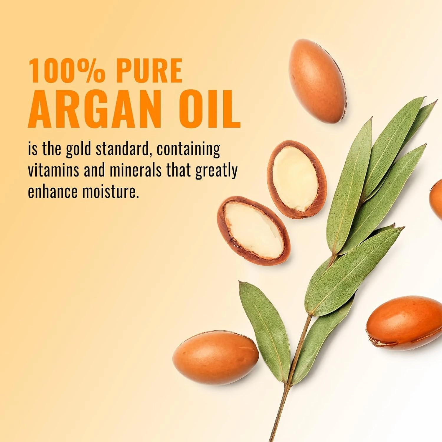 Moroccan Argan Oil Shampoo, Gentle Cleansing & Moisturizing, Hydrating and Nourishing Dry & Damaged Hair for Shine & Frizz Control 16.9 oz