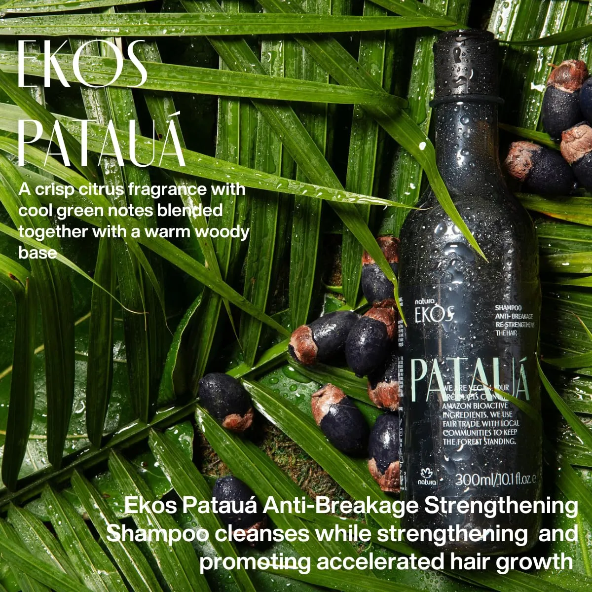 natura - Ekos Patauá Hair Anti-Breakage Re-Strengthening Shampoo - Prevent Hair Loss - Fortify Roots & Strands - Vegan Hair Care - Brazilian Beauty Secrets - Personal & Self Care - 10.1 fl oz (300ml)
