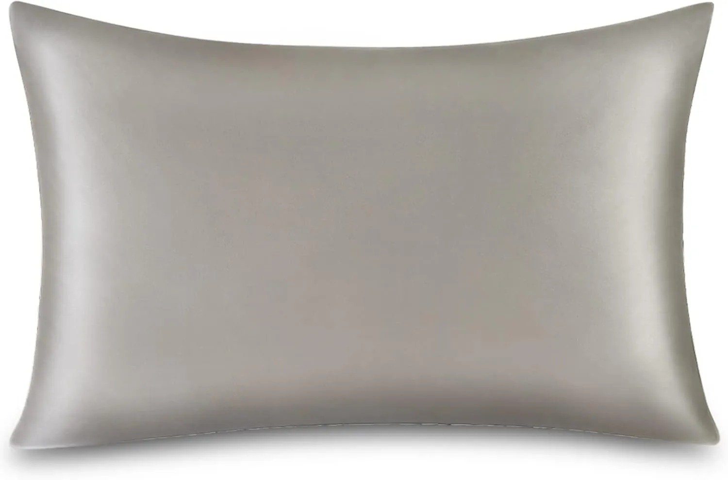 Natural 19 Momme Mulberry Silk Pillowcase for Hair and Skin - Grey Queen 20''x30'' - Washable With Zipper - 100% Silk Pillow Cover - Valentine's Day Gift for Girlfriend Wife
