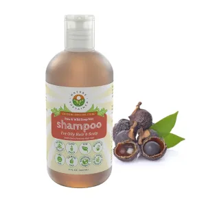 Natural Shampoo for Oily Hair & Scalp - Organic, Raw & Wildcrafted with Probiotics, Hypoallergenic & Sulfate Free Herbal Shampoo for Oil Control, Dandruff, Seborrheic Dermatitis - 9 Oz, Original