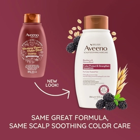 OGX Aveeno Color Protect Strengthen  Blackberry Quinoa Shampoo, Fresh, 12 Fl Oz (Pack of 2)