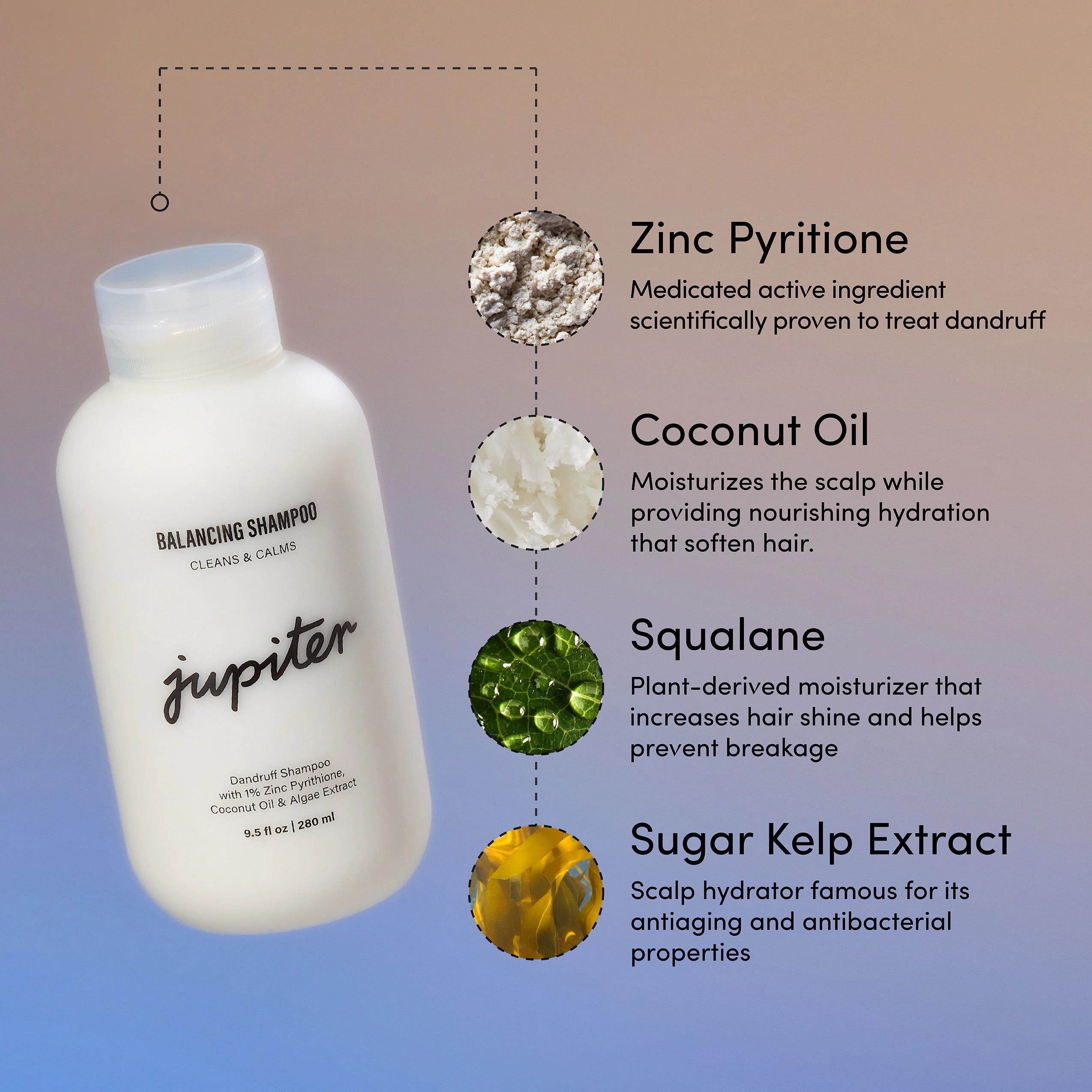 Oil Control   Exfoliation Set