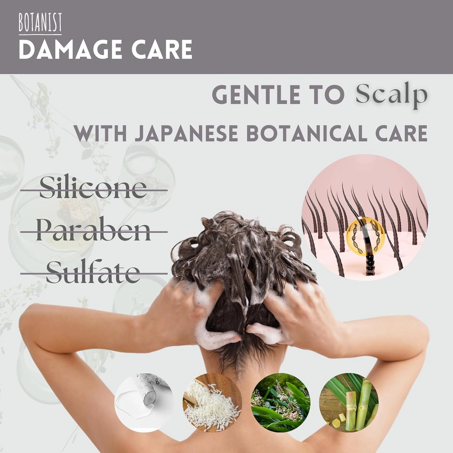 Organic Shampoo for Damaged & Frizzy Hair Women & Men, Hydrating Shampoo with Collagen, Birch Sap & Jojoba Oil from Japan, Sulfate & Silicone Free, Freesia & Cassis, 15.5 Fl Oz, 2EA